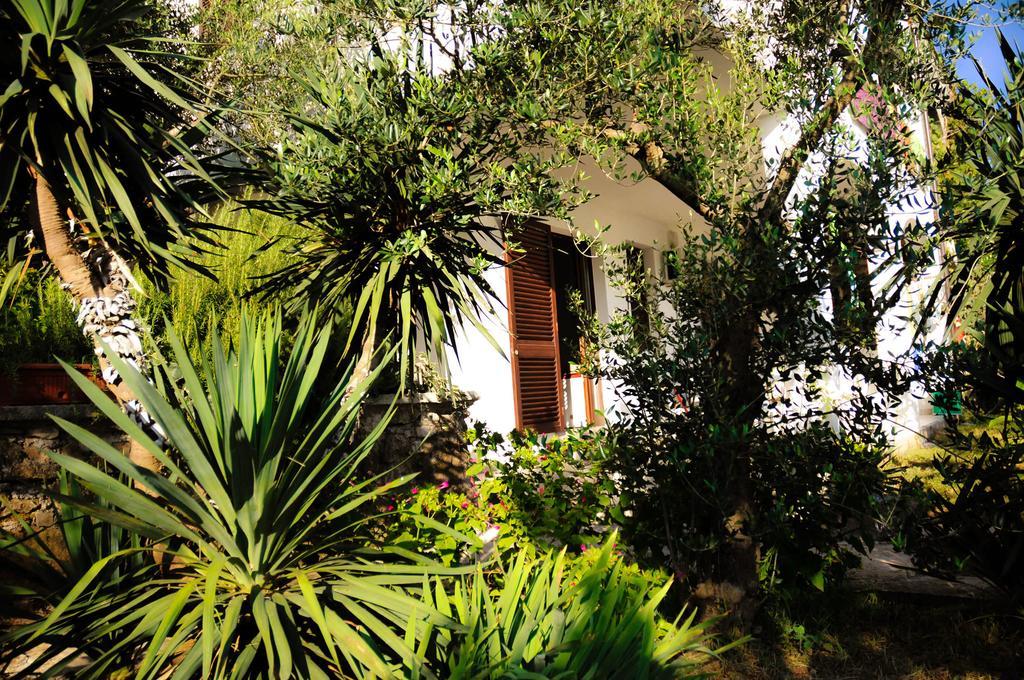 Apartments Adrialuka Dubrava  Екстер'єр фото